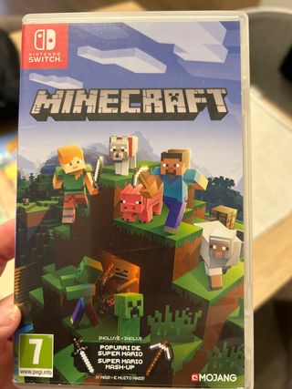 Minecraft Nintendo Switch