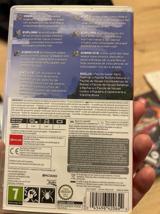 Minecraft Nintendo Switch