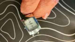 Reloj Viceroy Mujer correa mixta