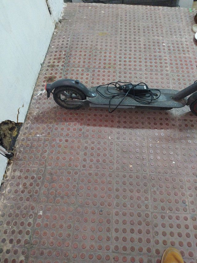 Patinete Eléctrico Xiaomi Pro 2