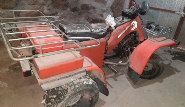 Quad Ruso ZIM 350