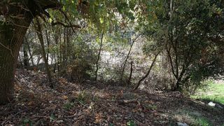 Terreno en venta en Moià