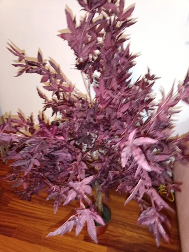 Árbol artificial decorativo