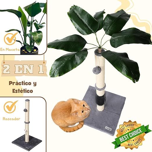 Rascador Gato Diseño Planta Sisal Natural
