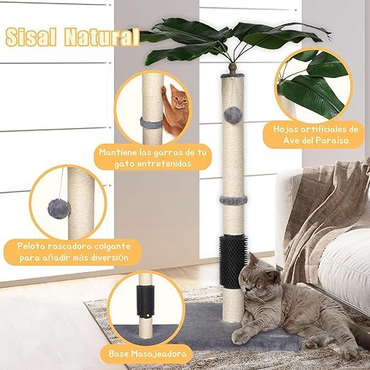 Rascador Gato Diseño Planta Sisal Natural