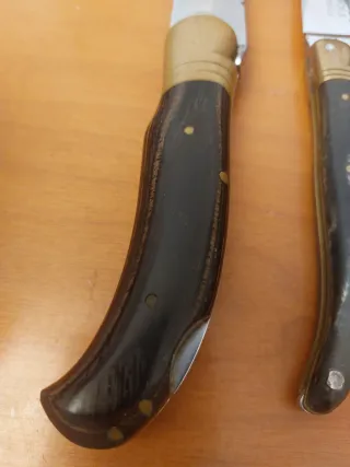 Lotti di coltelli Laguiole con manici in corno e legno, lama 9 cm