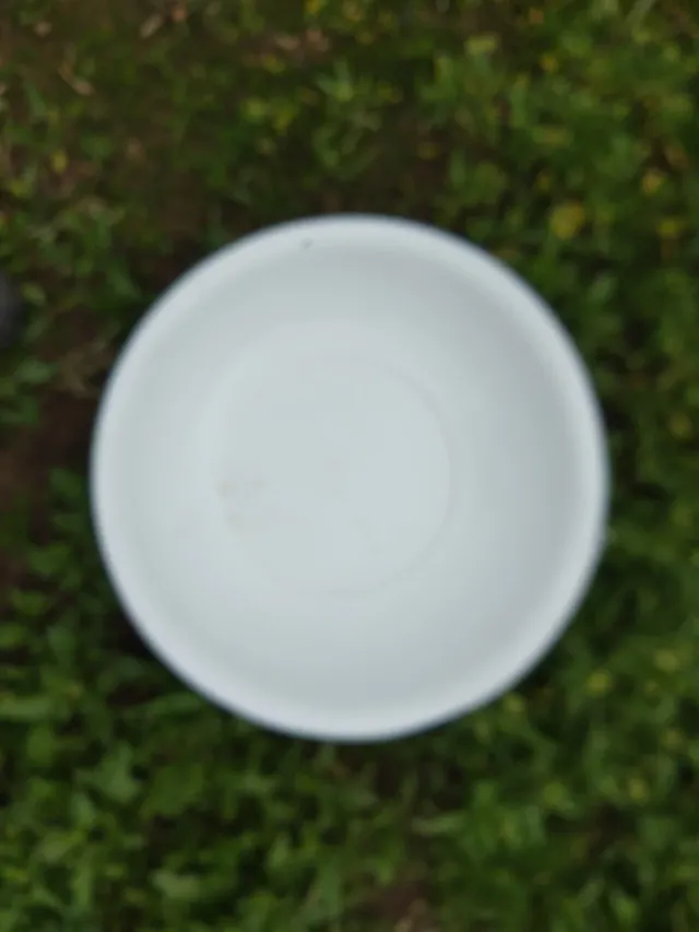 Palangana de cerámica blanca