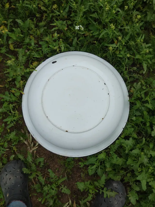 Palangana de cerámica blanca