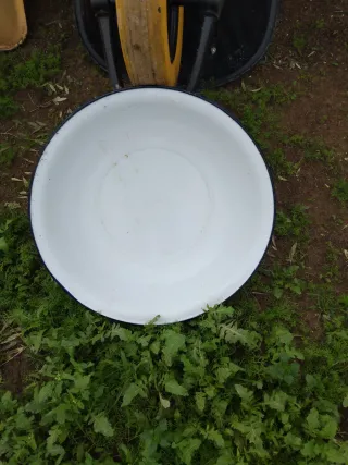 Palangana de cerámica blanca