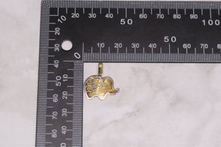 COLGANTE ELEFANTE BICOLOR, ORO 18K/1.0g