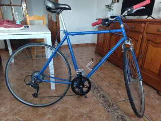 Bicicleta Fixie Vintage Azul