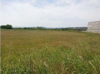 Terreno en venta en Alberic