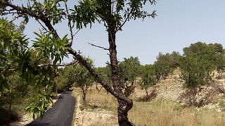 Terreno en venta en Benissa