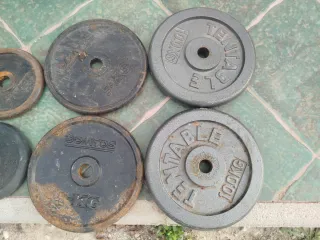 Discos de peso Domyos y 3 mancuernas.