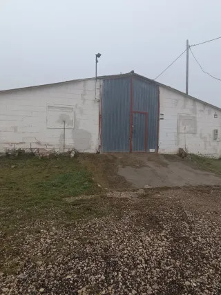 Local - nave en alquiler