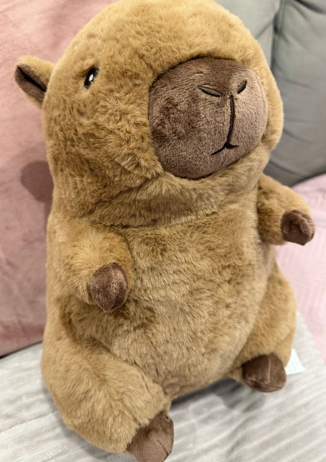 Capibara 30cm Peluche Grande con etichette NUOVO!!