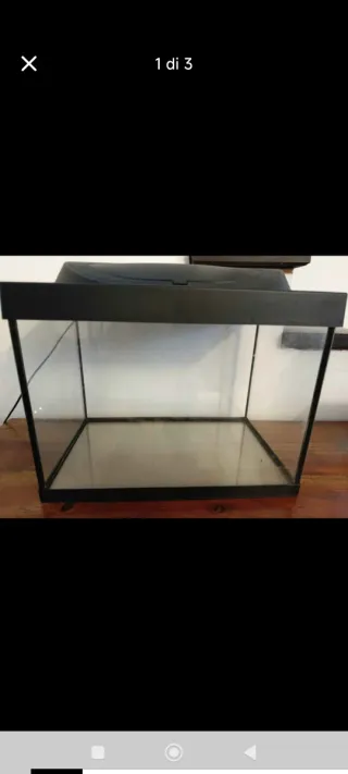 Acquario nero e trasparente