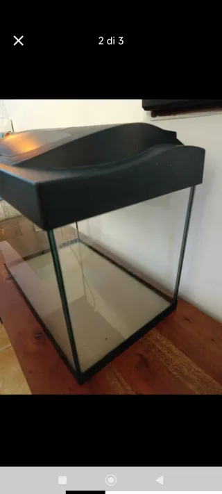 Acquario nero e trasparente