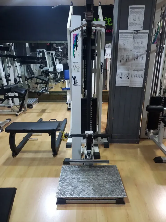 Máquina Biceps y Triceps Dual