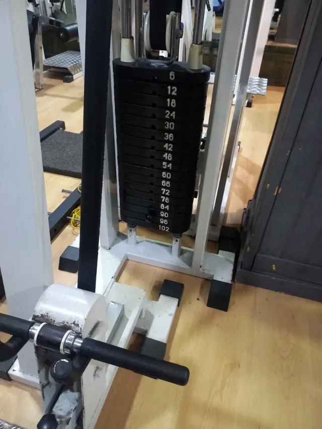 Máquina Biceps y Triceps Dual