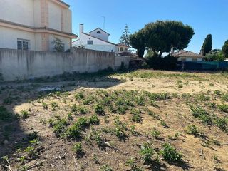 Terreno en venta en El Pino-Bajo de Guía en Sanlúcar de Barrameda