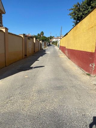 Terreno en venta en El Pino-Bajo de Guía en Sanlúcar de Barrameda