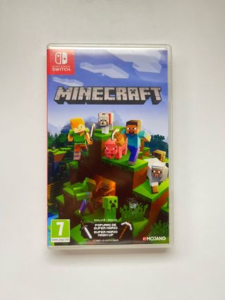 Minecraft Nintendo Switch