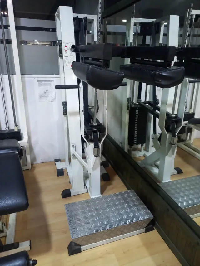 Máquina Sentadilla y Gemelo