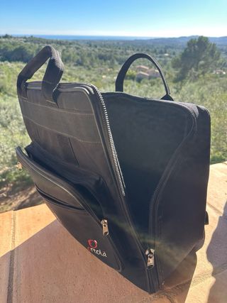 Acordeón Saltarelle L'Elfique Diatónico