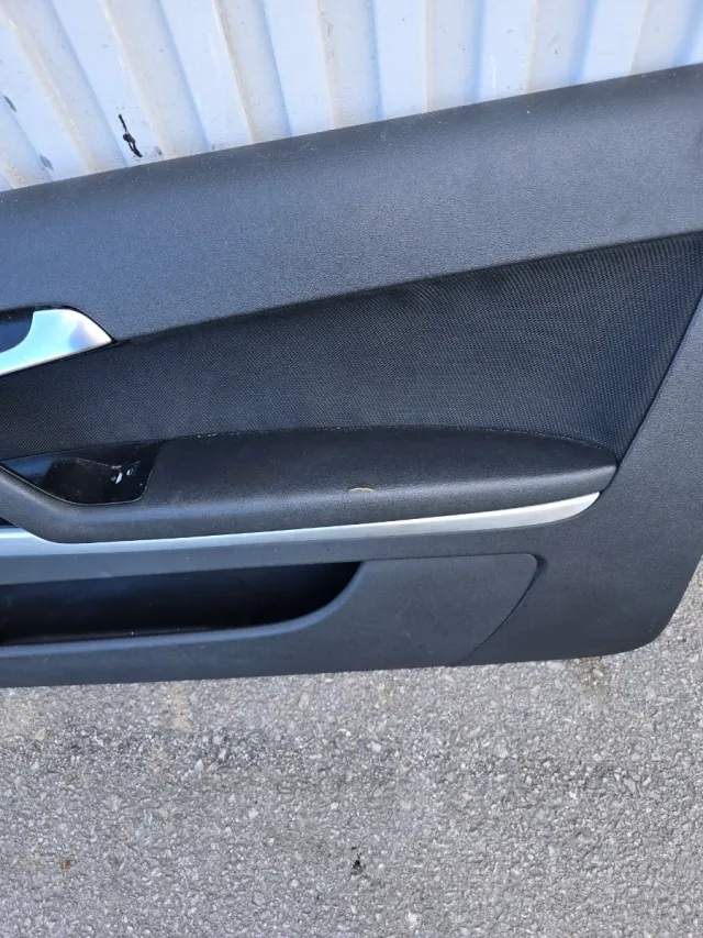 Paneles Puerta Delantera Audi A3 8P