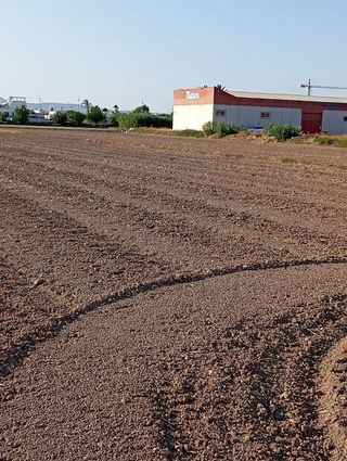 Terreno en venta en Dolores