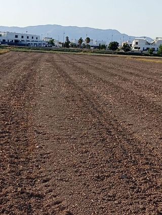 Terreno en venta en Dolores