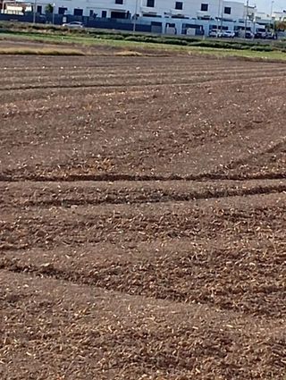 Terreno en venta en Dolores