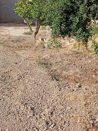 Terreno en venta en Dolores