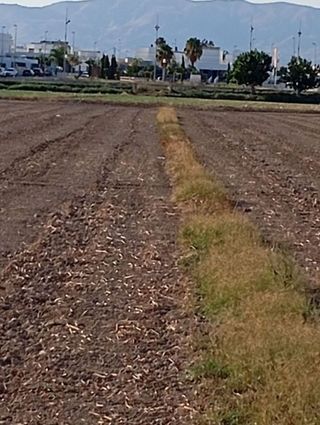 Terreno en venta en Dolores