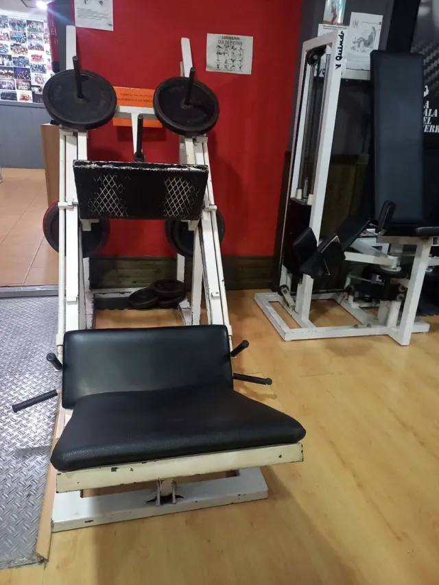 Prensa de Piernas 45 Grados