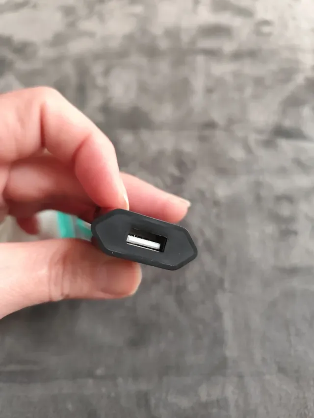 Caricabatterie USB da viaggio 1A