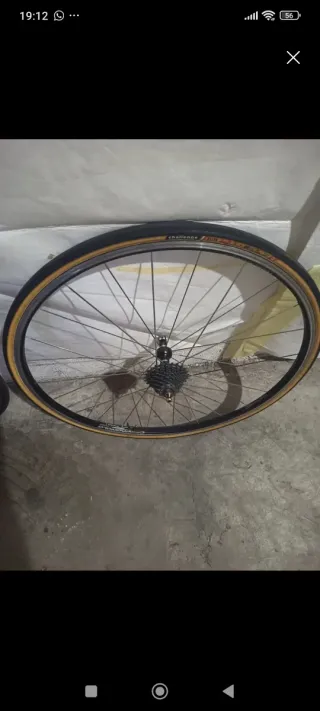 Ruedas Campagnolo Nucleón