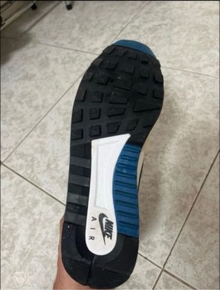 Nike Pegasus Beige/Azul/Gris/Blanco