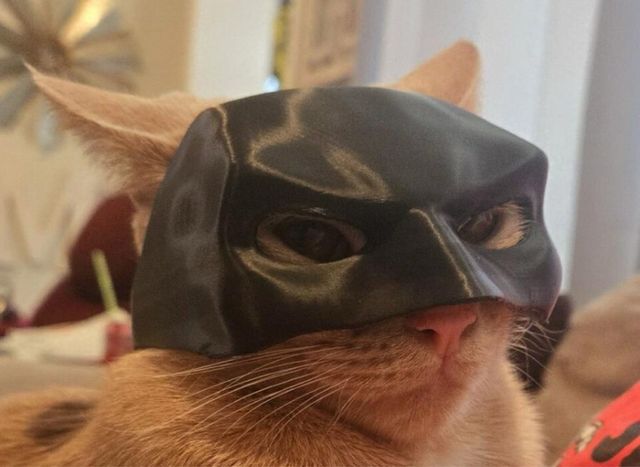 Servicio de impresión en 3D PLA y resina