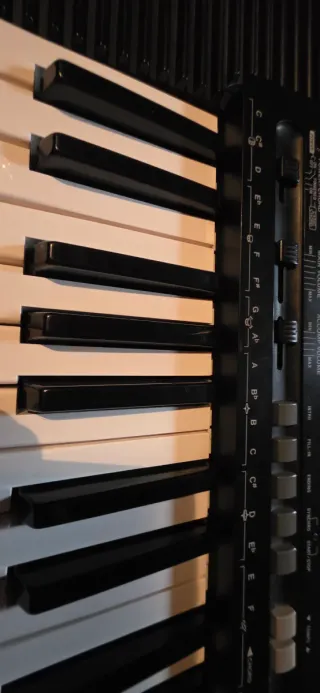 Tastiera Casio Tone Bank CT-395