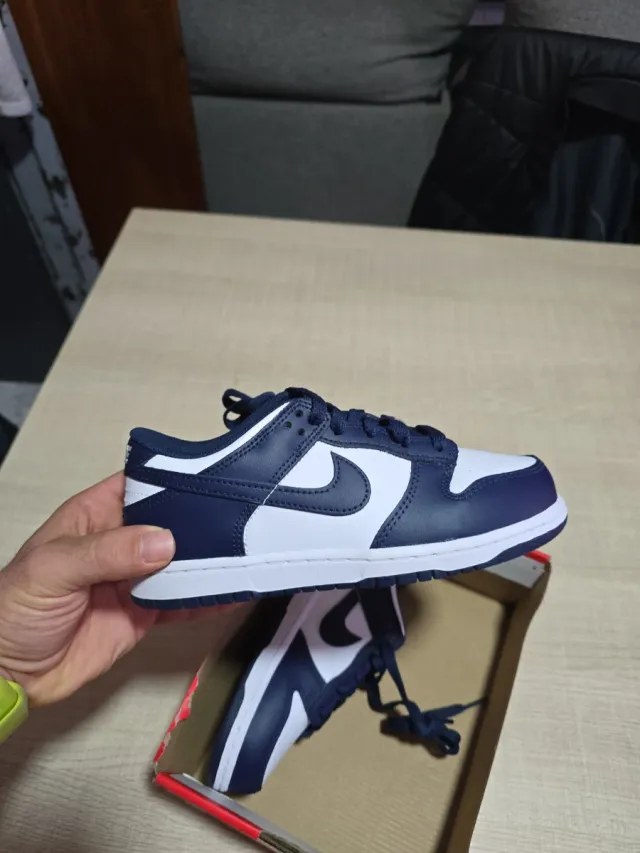 Nike Dunk Low Azul y Blanco