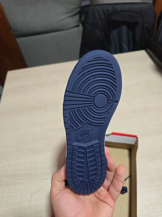 Nike Dunk Low Azul y Blanco