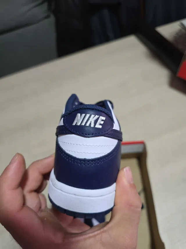 Nike Dunk Low Azul y Blanco