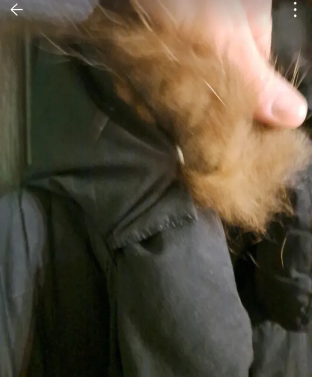 Piumino lungo Sartoria del Piumino donna taglia 46