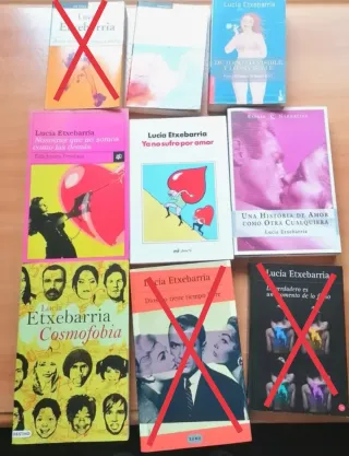 Lote 6 libros de Lucía Etxebarria