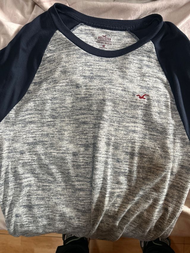 Camiseta Hollister gris y azul