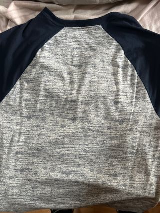 Camiseta Hollister gris y azul