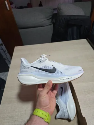 Nike Air Zoom Pegasus 41 Unisex