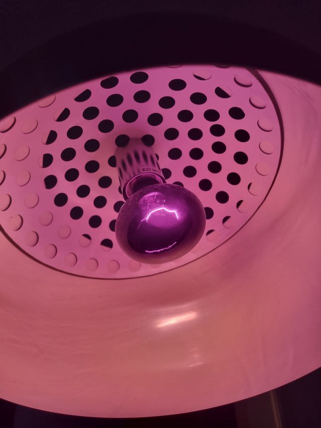 Set Lampade Riscaldanti Infrarossi